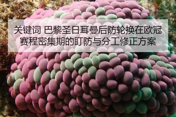 guan-jian-ci-ba-li-sheng-ri-er-man-hou-fang-lun-huan-zai-ou-guan-sai-cheng-mi-ji-qi-de-ding-fang-yu-fen-gong-xiu-zheng-2-302.jpg