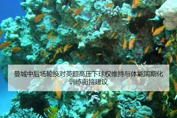 曼城中后场轮换对英超高压下球权维持与体能周期化训练衔接建议